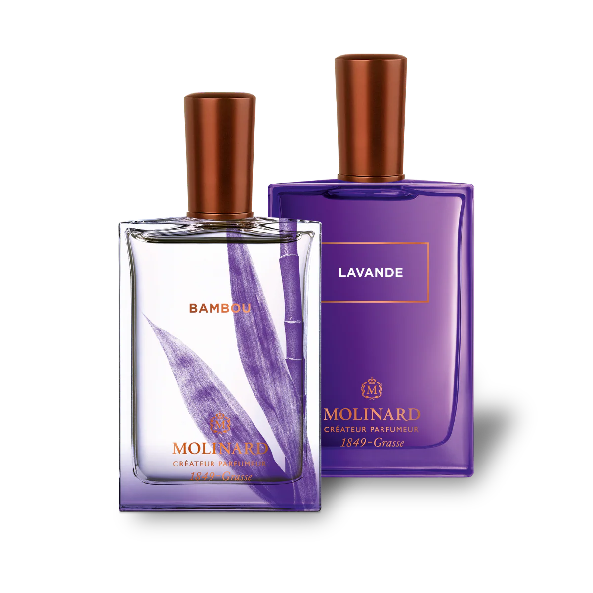 Combo Lavande